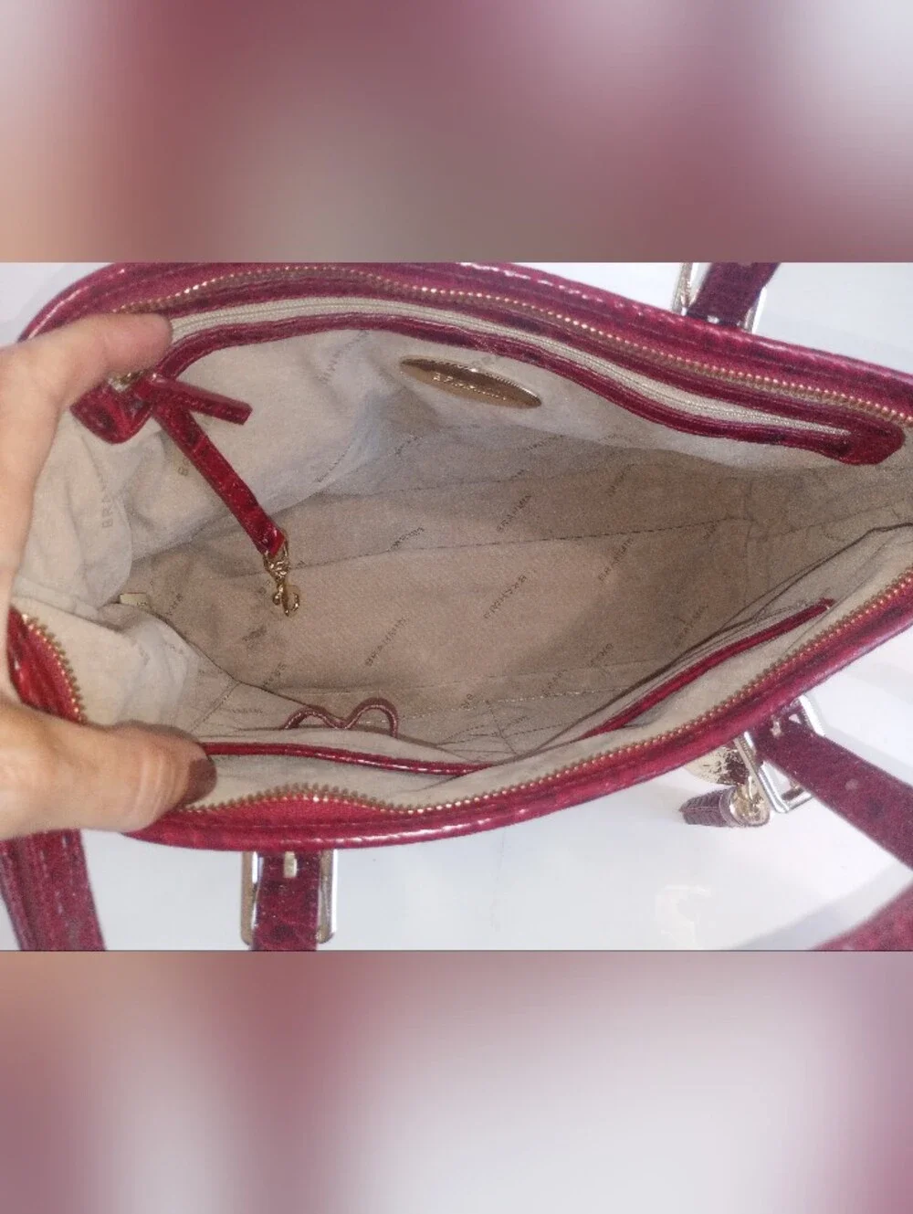 Brahmin Red Mini Asher Crocodile Embossed Leather Crossbody Satchel Purse